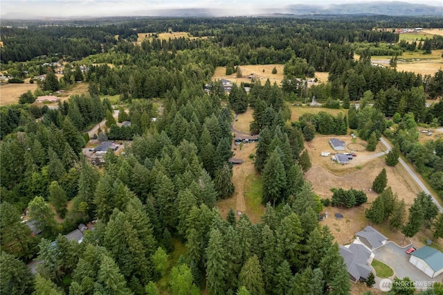 34412 Mountain Hwy E, Eatonville, WA 98328 - photo 34