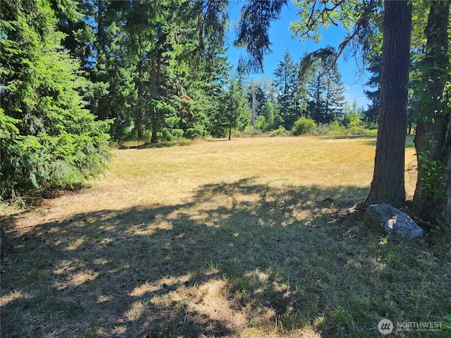 34412 Mountain Hwy E, Eatonville, WA 98328 - photo 2