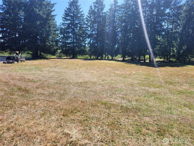 34412 Mountain Hwy E, Eatonville, WA 98328 - photo 4