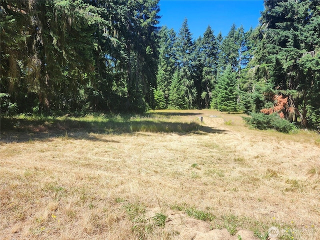 34412 Mountain Hwy E, Eatonville, WA 98328 - photo 36