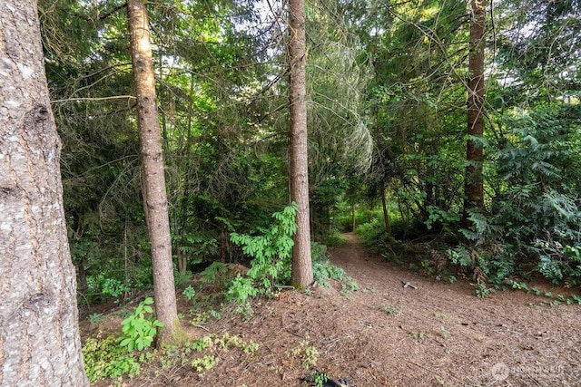 636 Nevil Rd, Winlock, WA 98596 - view of woods