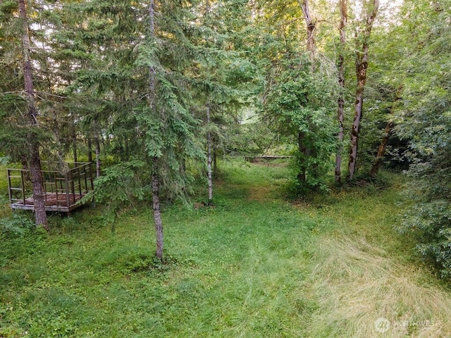 636 Nevil Rd, Winlock, WA 98596 - view of yard featuring a forest view