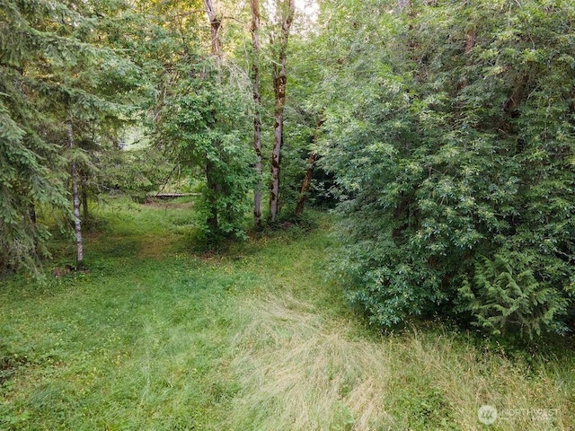 636 Nevil Rd, Winlock, WA 98596 - view of tree filled area
