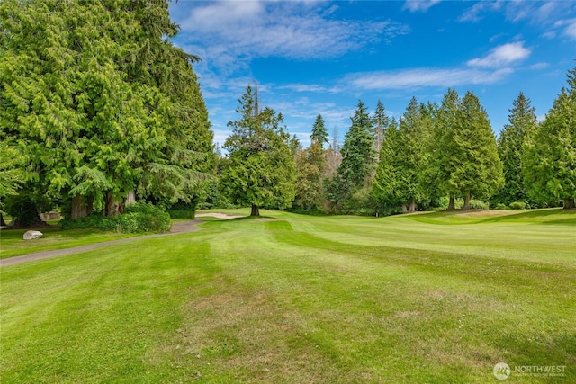 9002 Gleneagle Dr, Blaine, WA 98230 - view of property's community with view of scattered trees, view of golf course, and a yard