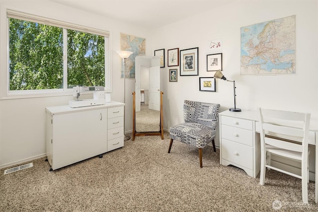 12741 37th Ave NE, Seattle, WA 98125 - photo 27