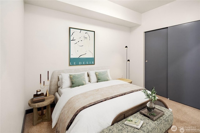 11903 NE 128th St Unit 205, Kirkland, WA 98034 - bedroom featuring light carpet and a closet