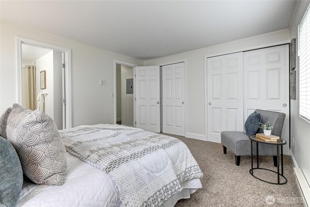 5000 Lake Washington Blvd NE Unit B201, Renton, WA 98056 - bedroom featuring multiple closets, carpet, multiple windows, and electric panel