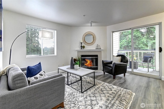 5000 Lake Washington Blvd NE Unit B201, Renton, WA 98056 - living room with a tile fireplace and wood finished floors