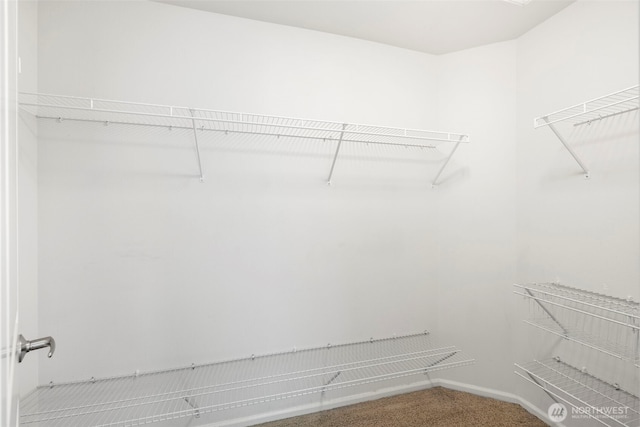 21270 40th Way S Unit 35, Seatac, WA 98198 - walk in closet with carpet