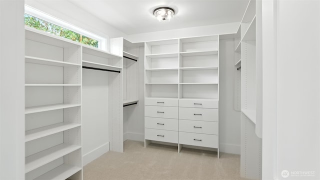 1118 N 34th St, Renton, WA 98056 - walk in closet featuring light carpet