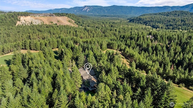 151 Rushing Water Ln, Cle Elum, WA 98922 - photo 38