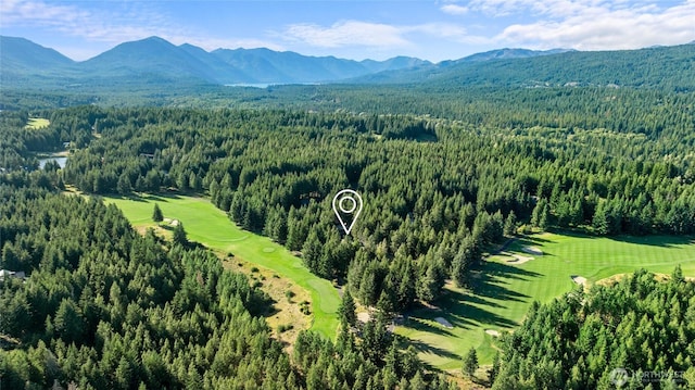 151 Rushing Water Ln, Cle Elum, WA 98922 - photo 40