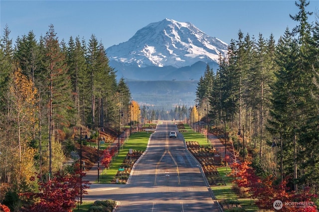 20851 156th St E, Bonney Lake, WA 98391 - view of mountain background featuring a heavily wooded area