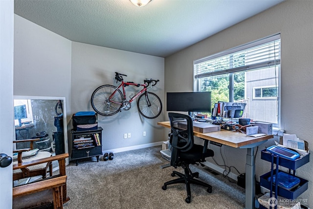 5003 Madison Heights Ct SE, Olympia, WA 98501 - office with carpet and a textured ceiling