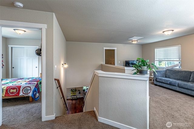 5003 Madison Heights Ct SE, Olympia, WA 98501 - stairs featuring carpet flooring and a textured ceiling