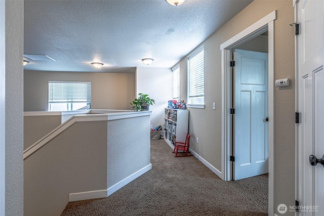 5003 Madison Heights Ct SE, Olympia, WA 98501 - corridor featuring an upstairs landing, carpet flooring, healthy amount of natural light, a textured ceiling, and a textured wall