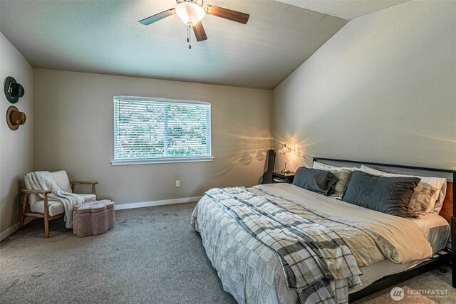 5003 Madison Heights Ct SE, Olympia, WA 98501 - carpeted bedroom with a ceiling fan and a textured ceiling