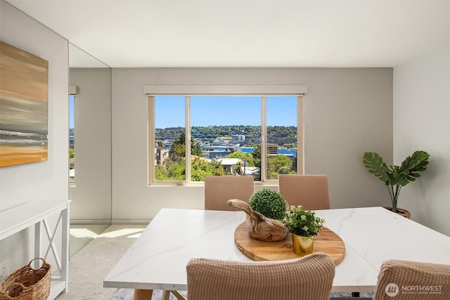 1234 Taylor Ave N Unit 401, Seattle, WA 98109 - view of carpeted dining room
