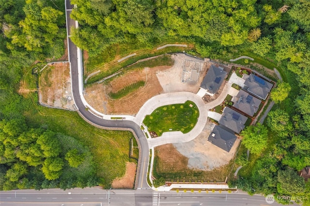21041 SE 80th St, Issaquah, WA 98027 - aerial overview of property's location