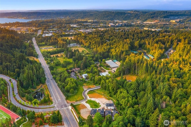 21041 SE 80th St, Issaquah, WA 98027 - view of property location featuring a forest
