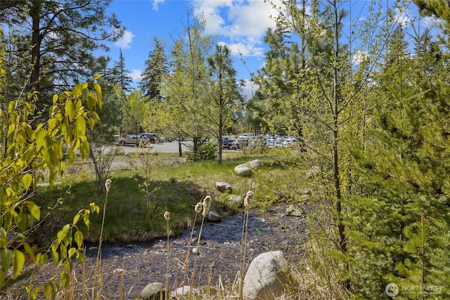 282 Cake Box Ln, Cle Elum, WA 98922 - photo 5