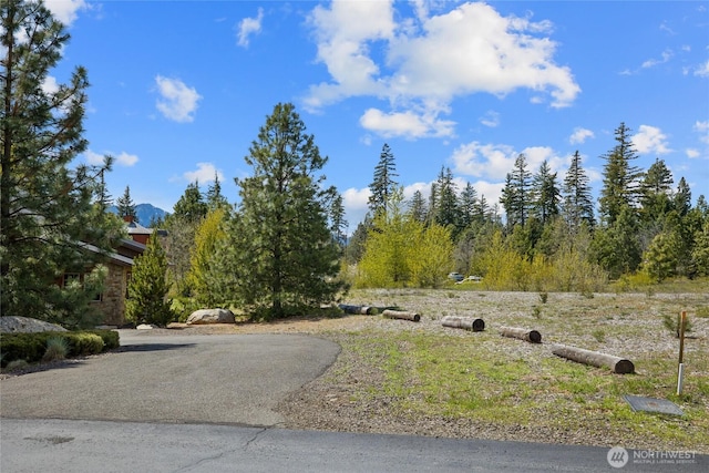282 Cake Box Ln, Cle Elum, WA 98922 - photo 14