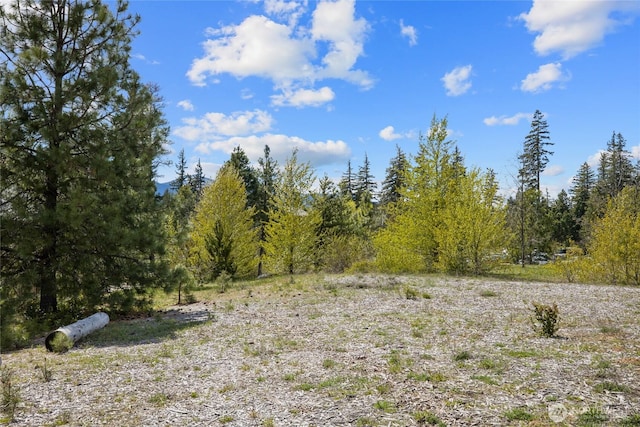 282 Cake Box Ln, Cle Elum, WA 98922 - photo 16