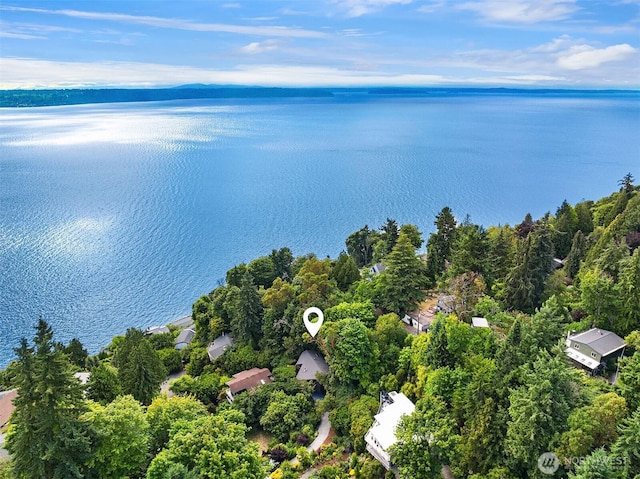 2650 SW 151st Pl, Burien, WA 98166 - photo 36