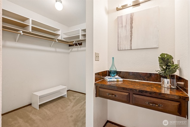 5415 Johnson Point Rd NE, Olympia, WA 98516 - walk in closet featuring light colored carpet