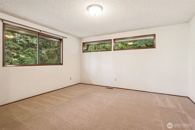 5415 Johnson Point Rd NE, Olympia, WA 98516 - carpeted empty room featuring a textured ceiling and baseboards