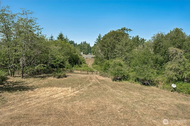 5415 Johnson Point Rd NE, Olympia, WA 98516 - view of wooded area