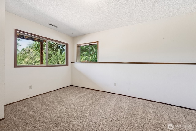 5415 Johnson Point Rd NE, Olympia, WA 98516 - carpeted empty room with a textured ceiling and baseboards
