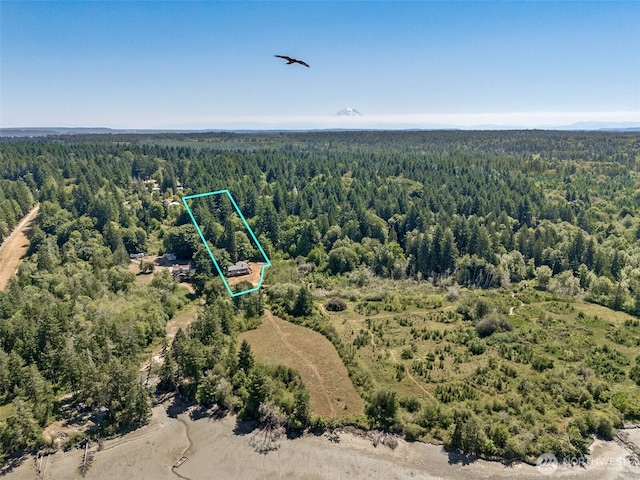 5415 Johnson Point Rd NE, Olympia, WA 98516 - aerial view of property's location with a forest and property parcel outlined