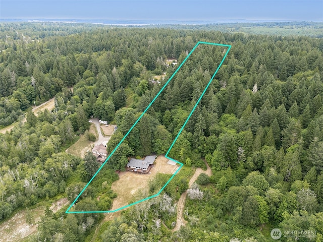 5415 Johnson Point Rd NE, Olympia, WA 98516 - aerial view of property and surrounding area with a forest and property parcel outlined