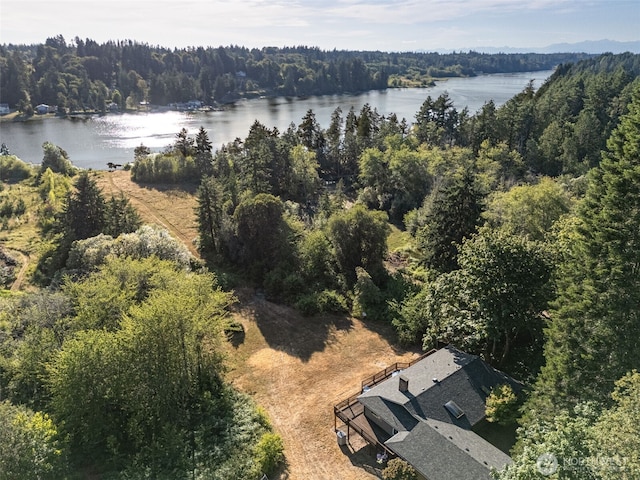 5415 Johnson Point Rd NE, Olympia, WA 98516 - aerial view of property and surrounding area with a large body of water