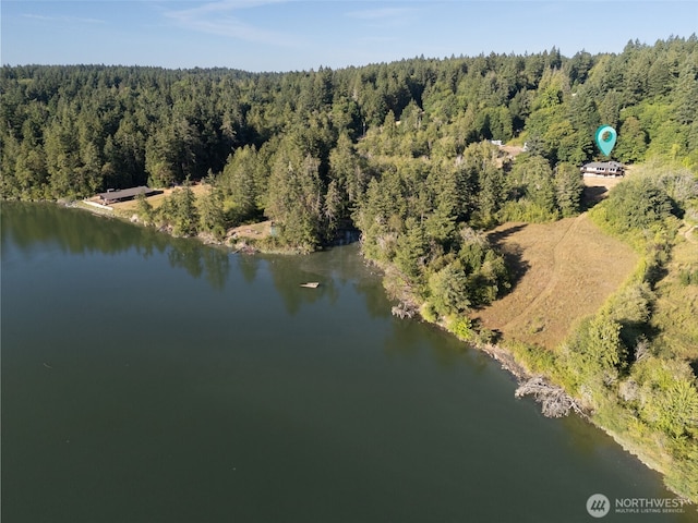 5415 Johnson Point Rd NE, Olympia, WA 98516 - view of property location with a heavily wooded area and a large body of water