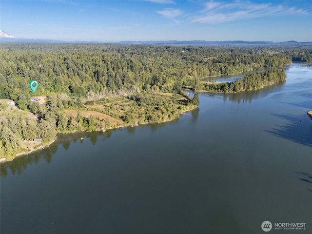5415 Johnson Point Rd NE, Olympia, WA 98516 - drone / aerial view of a forest and a large body of water