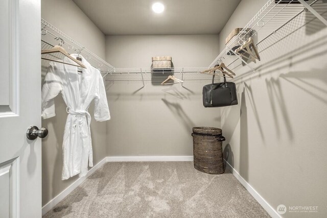 28003 74th Ave NW Unit 33, Stanwood, WA 98292 - walk in closet with carpet