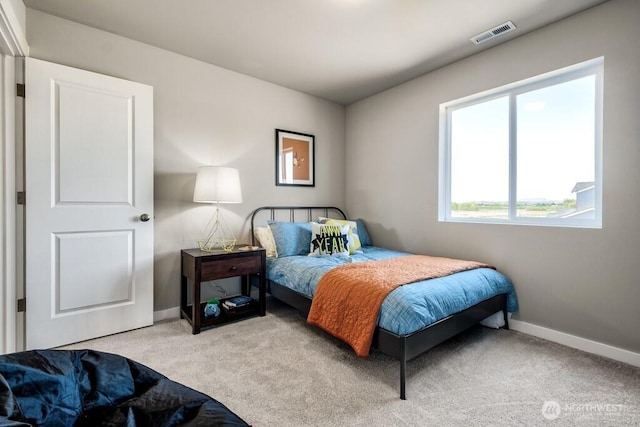 28003 74th Ave NW Unit 33, Stanwood, WA 98292 - carpeted bedroom with baseboards