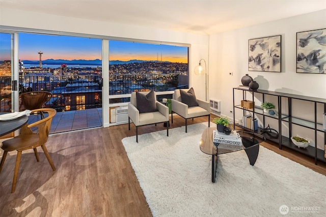 505 Belmont Ave E Unit 801, Seattle, WA 98102 - living room with wood finished floors and heating unit