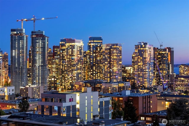 505 Belmont Ave E Unit 801, Seattle, WA 98102 - view of city skyline