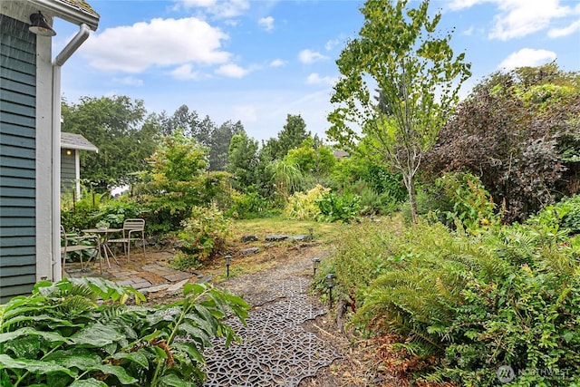 1814 Wilson Ave, Bellingham, WA 98225 - view of yard