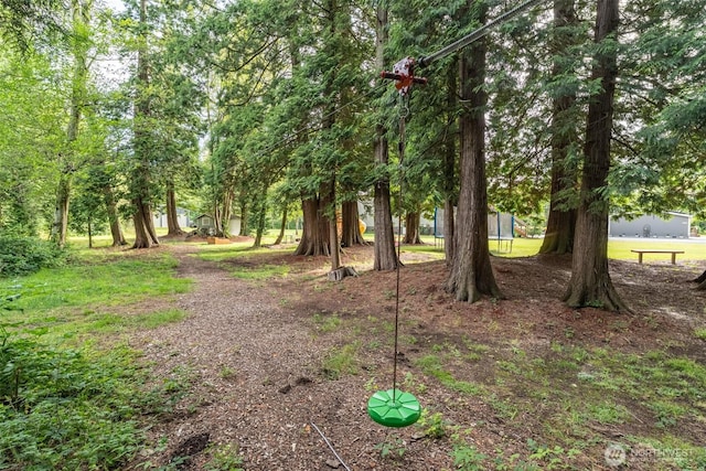 3148 Mountain View Rd, Ferndale, WA 98248 - view of yard