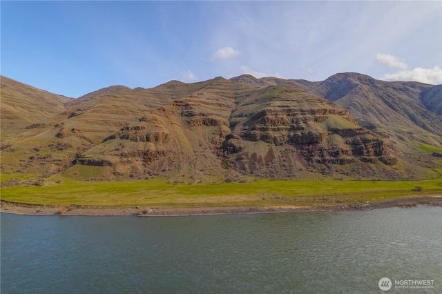 22684 Snake River Rd, Asotin, WA 99402 - photo 23