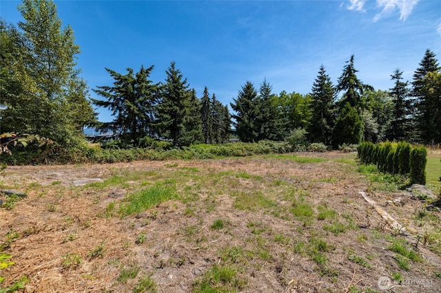 405 Burrows Ln, Sedro Woolley, WA 98284 - photo 24