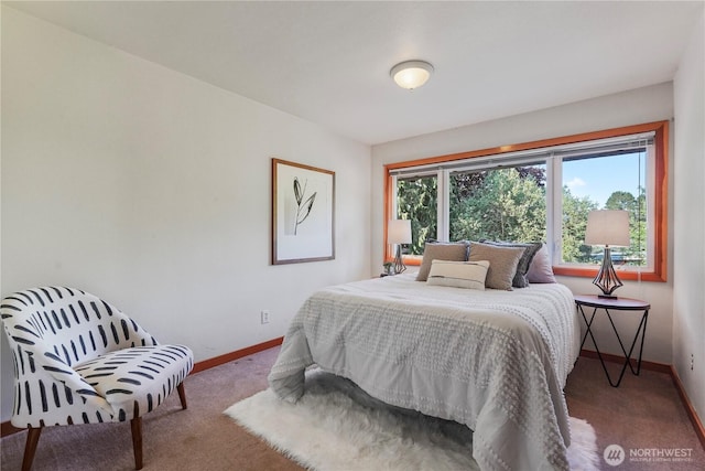 11523 Clover Crest Dr SW, Lakewood, WA 98499 - photo 18