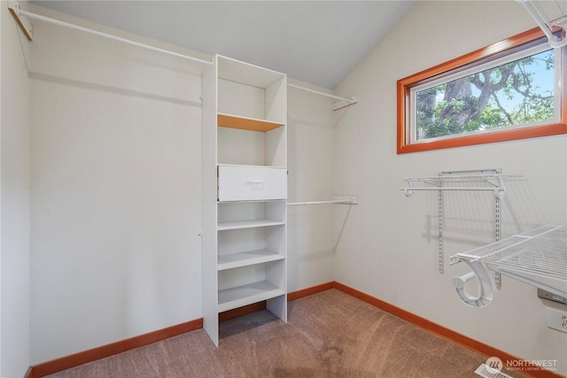 11523 Clover Crest Dr SW, Lakewood, WA 98499 - photo 16
