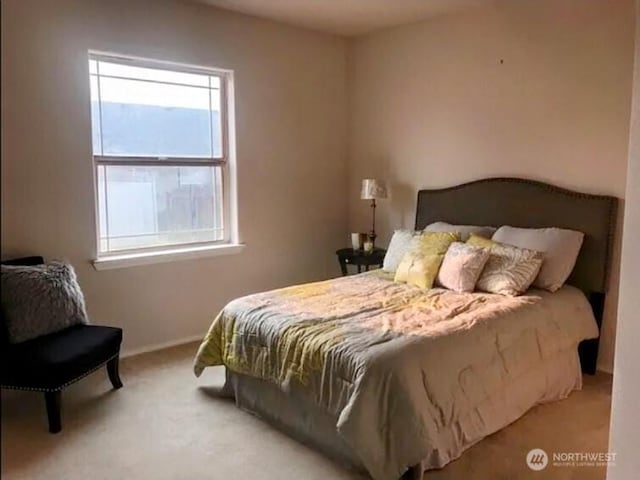 721 Wellington Ave, Walla Walla, WA 99362 - photo 9