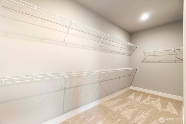 20837 156th St E, Bonney Lake, WA 98391 - spacious closet with carpet