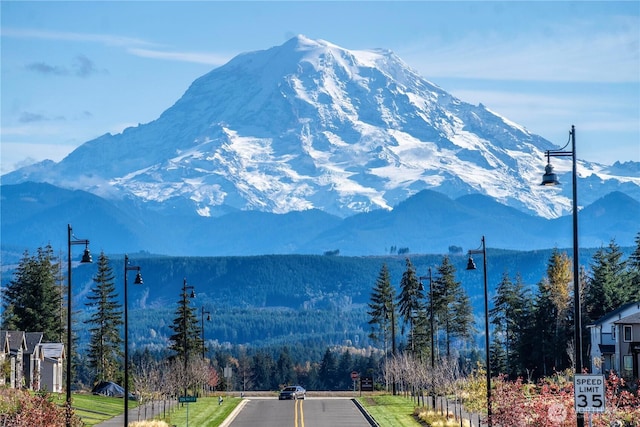 20837 156th St E, Bonney Lake, WA 98391 - view of mountain backdrop